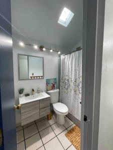 ein Badezimmer mit einem WC, einem Waschbecken und einem Spiegel in der Unterkunft *NEW CampoMar Beachfront 2Bdrm Villa in Arroyo in Arroyo