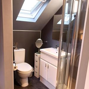 a bathroom with a toilet and a skylight at 26 Green Drive Inverness in Inshes