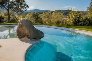 una roca sentada al lado de una piscina en Aiguabella - Allotjaments Rurals, en Sant Feliu de Pallerols