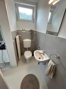 een kleine badkamer met een toilet en een wastafel bij geräumige Ferienwohnung Emsaue in Rheine
