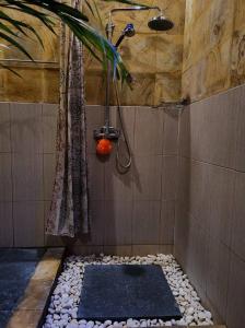 a bathroom with a shower with a pebble floor at Villa Aurora Lovina in Lovina