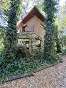 una casa tra due alberi con edera che cresce intorno di Cabañas Arehue a Mar del Plata