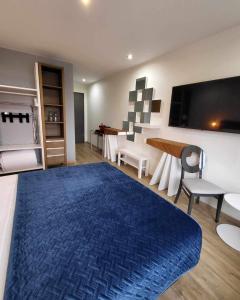 a bedroom with a large blue bed and a tv at les charmes de la vallée noble in Soultzmatt
