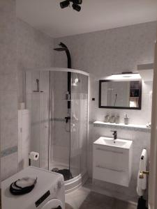 y baño con ducha y lavamanos. en Skylark Cozy Apartment en Budapest