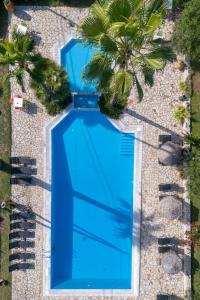 an overhead view of a blue swimming pool with palm trees at Gerekos Island Apartments in Kontokali