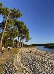 un gruppo di persone che camminano su una spiaggia sabbiosa di Agréable maison à 400m du lac a Sanguinet