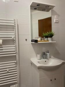 Kúpeľňa v ubytovaní Vamos Apartman + 15 fotografií