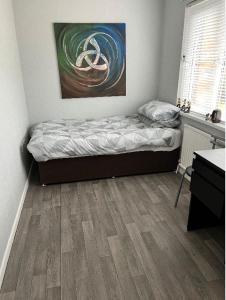 a bedroom with a bed and a painting on the wall at Macs Belfast Single bedroom in Belfast