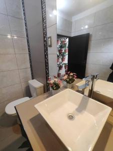 ein Badezimmer mit einem weißen Waschbecken und einem WC in der Unterkunft Alojamiento-frente al estadio 4 personas in Tarija