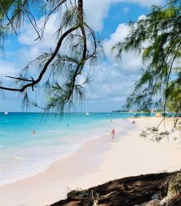 A beach at or near the holiday home