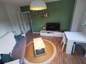 Televízia a/alebo spoločenská miestnosť v ubytovaní Résidence ORION- Appartement pour 2 à 3 personnes- Wifi gratuit