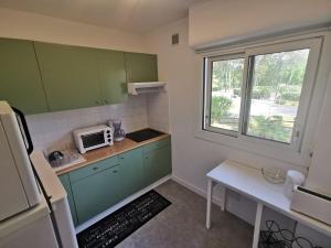 een kleine keuken met groene kasten en een raam bij Résidence ORION- Appartement pour 2 à 3 personnes- Wifi gratuit in Seignosse