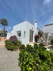 une maison blanche avec quelques plantes devant elle dans l'établissement Quinta Da Horta, à São Brás de Alportel