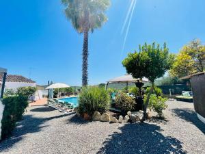 un complexe avec un palmier et une piscine dans l'établissement Quinta Da Horta, à São Brás de Alportel