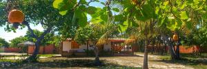 a house with a bunch of trees in front of it at Sítio SPA Céu De Verdade , Praia de Barra Nova , Ceará in Cascavel