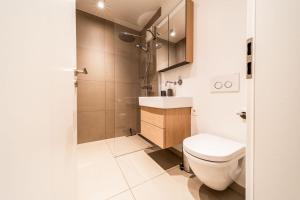 y baño con aseo, lavabo y ducha. en Beautiful apartment in the city and free parking, en Luxemburgo