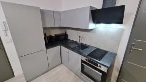 Kuchyň nebo kuchyňský kout v ubytování Apartment Quiet Street 11/2E + 9 fotografií