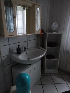 a bathroom with a sink and a mirror at Ferienwohnung an der Elbe in Bleckede
