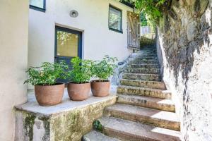 un grupo de plantas en macetas sentadas en las escaleras de una casa en Stairway to Heaven en Caluire-et-Cuire