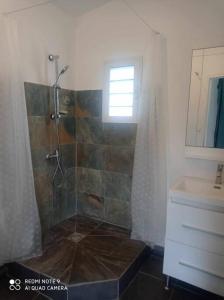 a bathroom with a shower and a sink at loue bungalow climatisé proche lagon in Saint-Leu