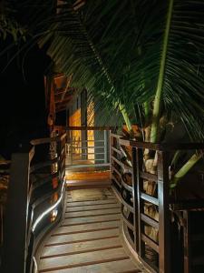 una veranda con una palma in una casa di TheBistroHouse - Loft Unit a San Vincente