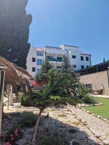 ein gefallener Baum in einem Garten vor einem Gebäude in der Unterkunft Hotel Marco Polo in Slatine