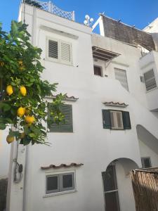 uma laranjeira em frente a um edifício branco em Regina di Capri - Casa Sole em Capri