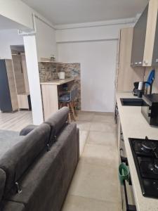 a living room with a couch in a kitchen at Casa ALEX in Apărătorii Patriei +3 photos