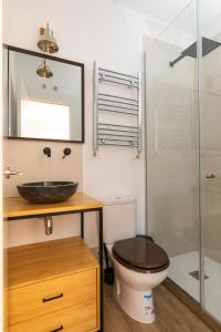 y baño con aseo, lavabo y ducha. en PLAZA DE CASTILLA Apartments, en Madrid