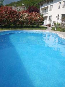 una gran piscina azul frente a un edificio en Villa Rosetta wellnes relax, en Scrutto
