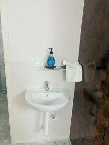 a bathroom with a sink and a blue bottle on a shelf at Simhagiri Sea Holiday Inn in Visakhapatnam +12 photos