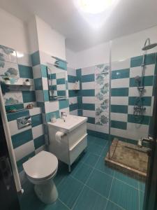 La salle de bains est pourvue de toilettes, d'un lavabo et d'une douche. dans l'établissement Residence Mery, à Făgăraş