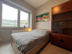 1 dormitorio con 1 cama y vestidor en Apartamenty Kamila, en Rzeszów