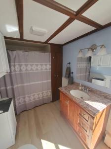 uma casa de banho com um lavatório e um chuveiro em Farmhouse Chic in the Heart of the Sebago Lakes Region em Raymond