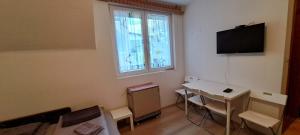 TV/trung tâm giải trí tại Apartman Jovana