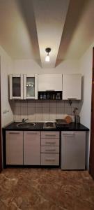 Nhà bếp/bếp nhỏ tại Apartman Jovana