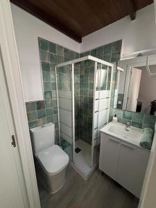 a bathroom with a toilet and a shower and a sink at Mi casita Tenerife Sur Free WIFI e AC in Arona