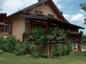 a house with plants on the side of it at Apartments Ana in Smoljanac