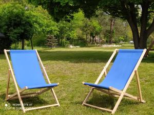 zwei Stühle auf dem Rasen im Garten in der Unterkunft Jurajski Domek in Żarki