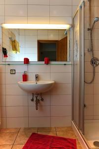 uma casa de banho com um lavatório e um chuveiro em Hotel Garni Sebastian em Kirrweiler
