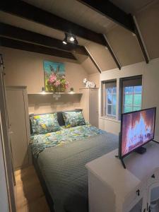 1 dormitorio con 1 cama y TV en Natuurhuisje - Gastenverblijf De Kleine Hazerij, en Wijhe