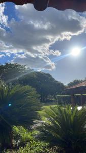 a view of a garden with palm trees and a sky at Pousada Aquatur in Presidente Epitácio