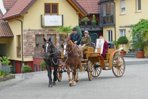 two people riding in a horse drawn carriage at Hotel Garni Sebastian in Kirrweiler