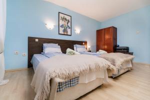 two beds in a bedroom with blue walls at Просторна вила с впечатляващ изглед в централен Балкан in Kravenik