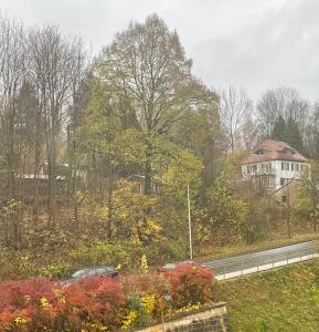 Zahrada ubytování Brauhaus Suite 20