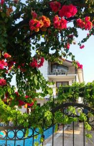 Gallery image of Tavilogullari Villa Apart in Dalyan