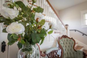 Φωτογραφία από το άλμπουμ του Clifton House - Observatory - King Suite, Sleeps 4, Mississippi River Views σε Natchez +10 φωτογραφίες