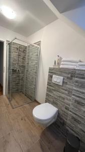 uma casa de banho com um WC e uma cabina de duche em vidro. em Vila K29 em Bovec