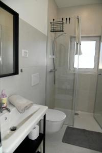 un bagno con doccia, WC e lavandino di Apartments Ajda a Bohinj