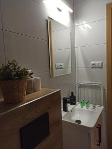 y baño con lavabo y espejo. en Mini house, en Solec-Zdrój